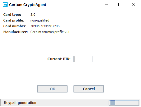 验证 PIN 密码 验证 PIN 密码